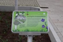 20250327_Tagung_Tulln_Exkursion_Nibelungenplatz_JT5A8081